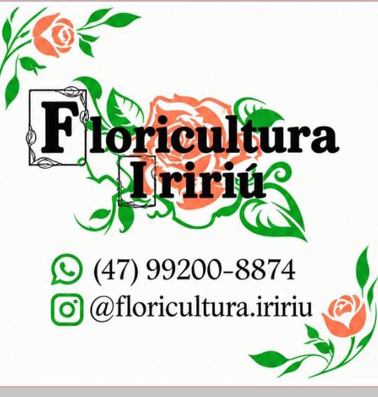 floricultura iririu Whatsapp (47) 99200-8874